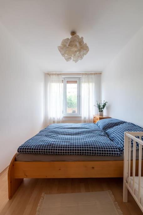 Grape Apartment Μπρατισλάβα Εξωτερικό φωτογραφία
