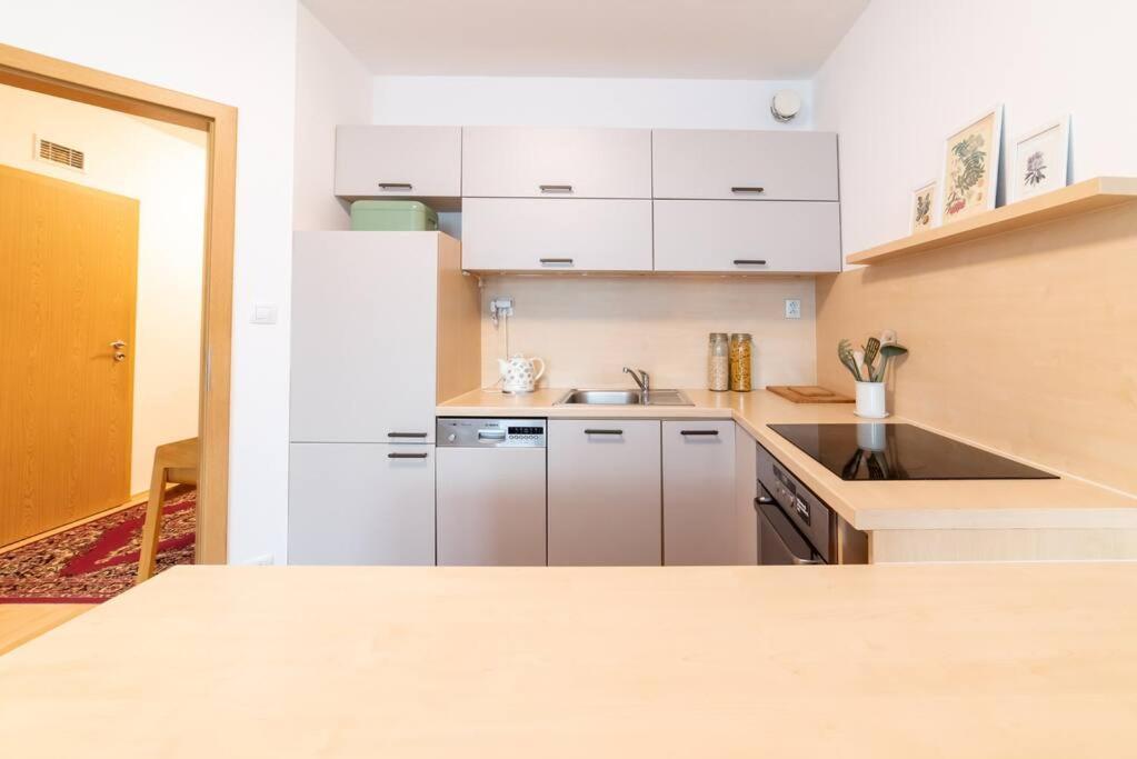 Grape Apartment Μπρατισλάβα Εξωτερικό φωτογραφία