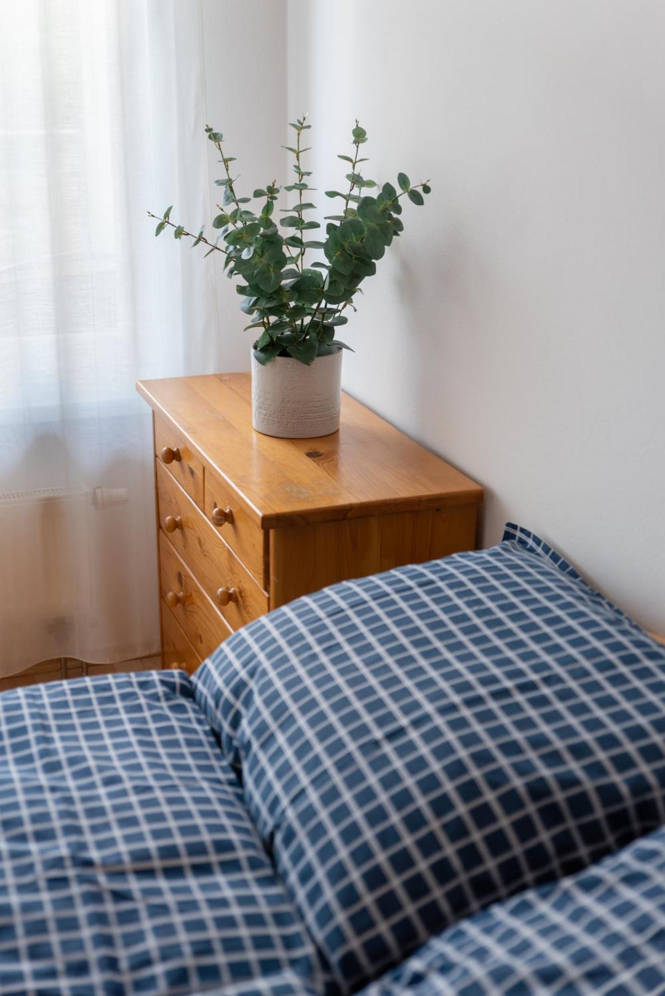 Grape Apartment Μπρατισλάβα Εξωτερικό φωτογραφία